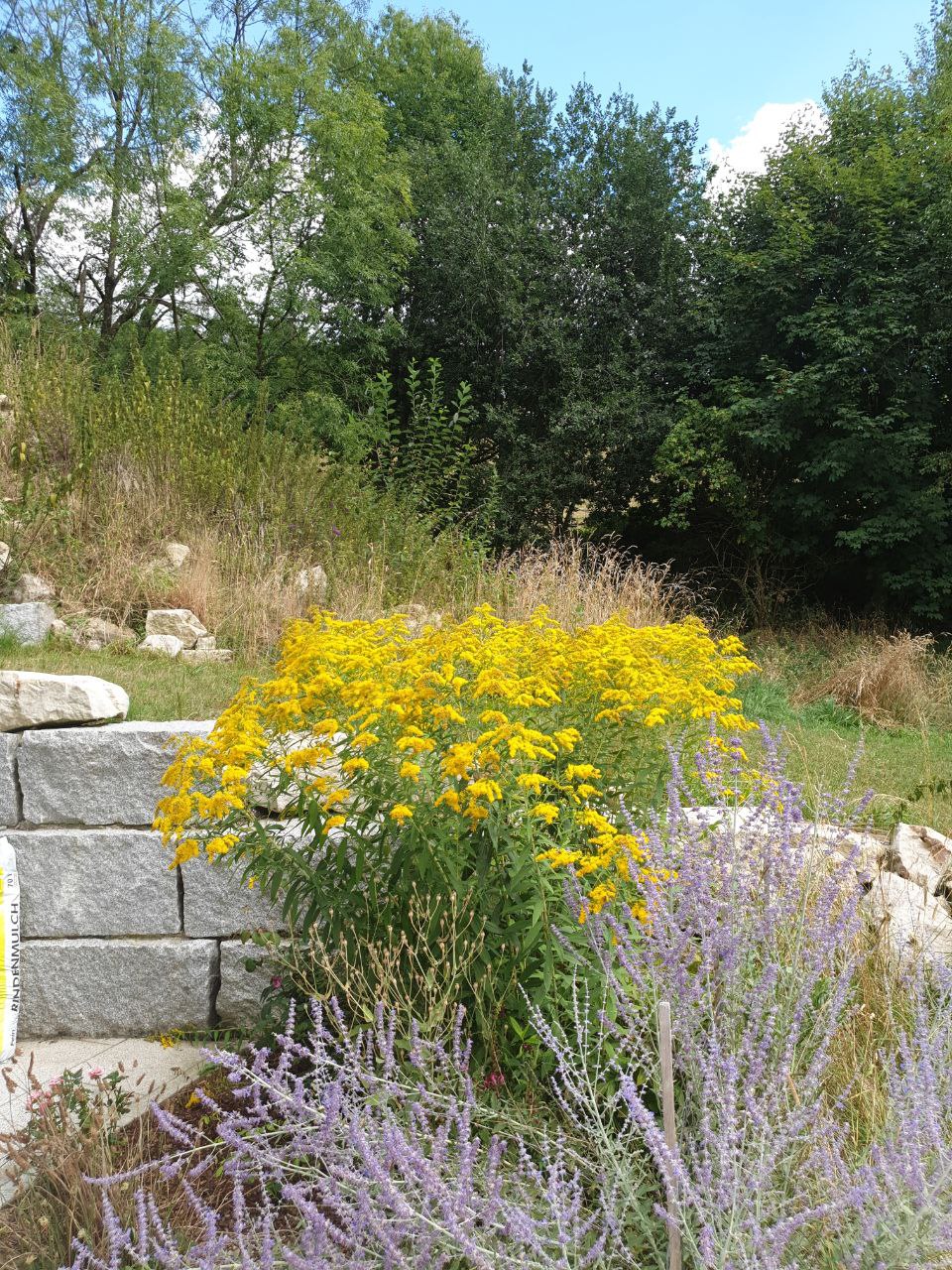 Neue Welt Haus Draussen 3 Neue Welt Haus Natur und Kraftplatz