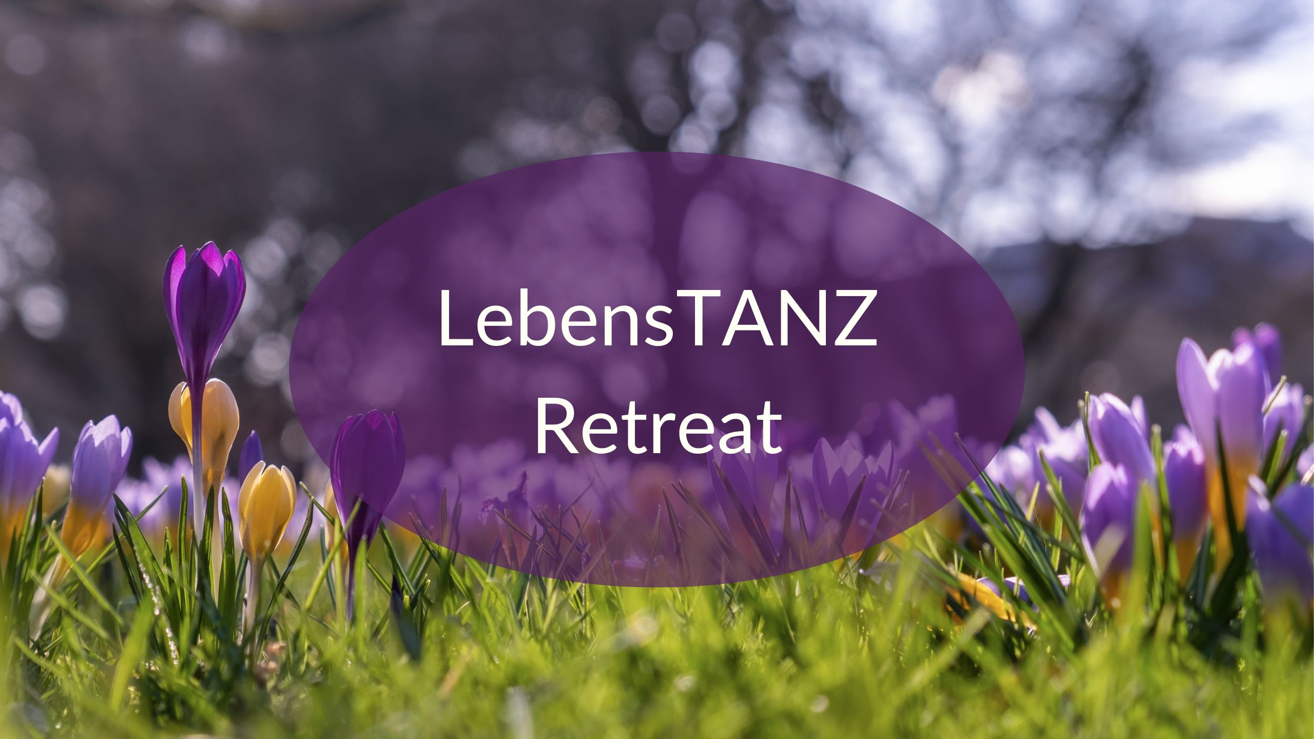 Retreat LebensTANZ Lenzwald